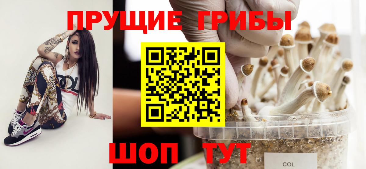 Галлюциногенные грибы мицелий Семилуки