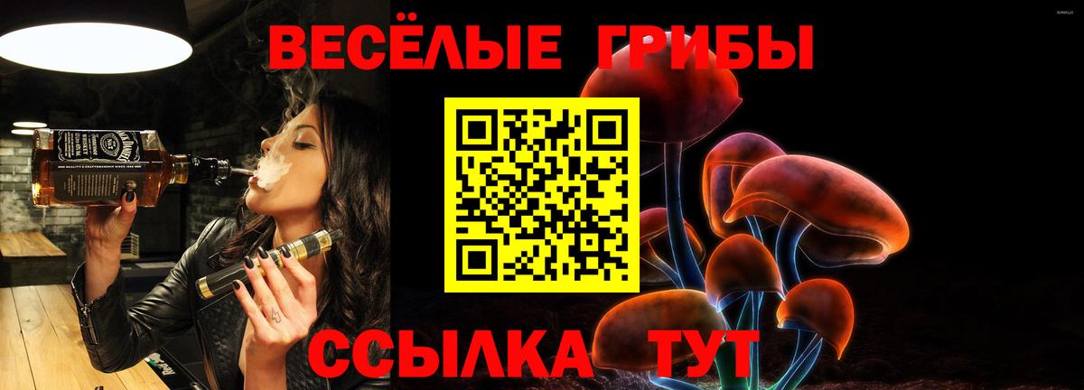 что такое   Вход с VPN  Семилуки  Псилоцибиновые грибы Magic Shrooms 